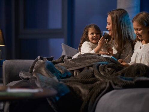 Indoor air quality services in Wheat Ridge, CO