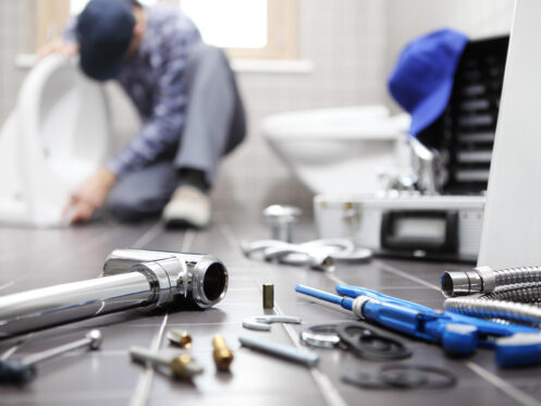 Toilet repair in Wheat Ridge, CO